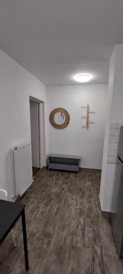 Twin Apartments 锡比乌 外观 照片