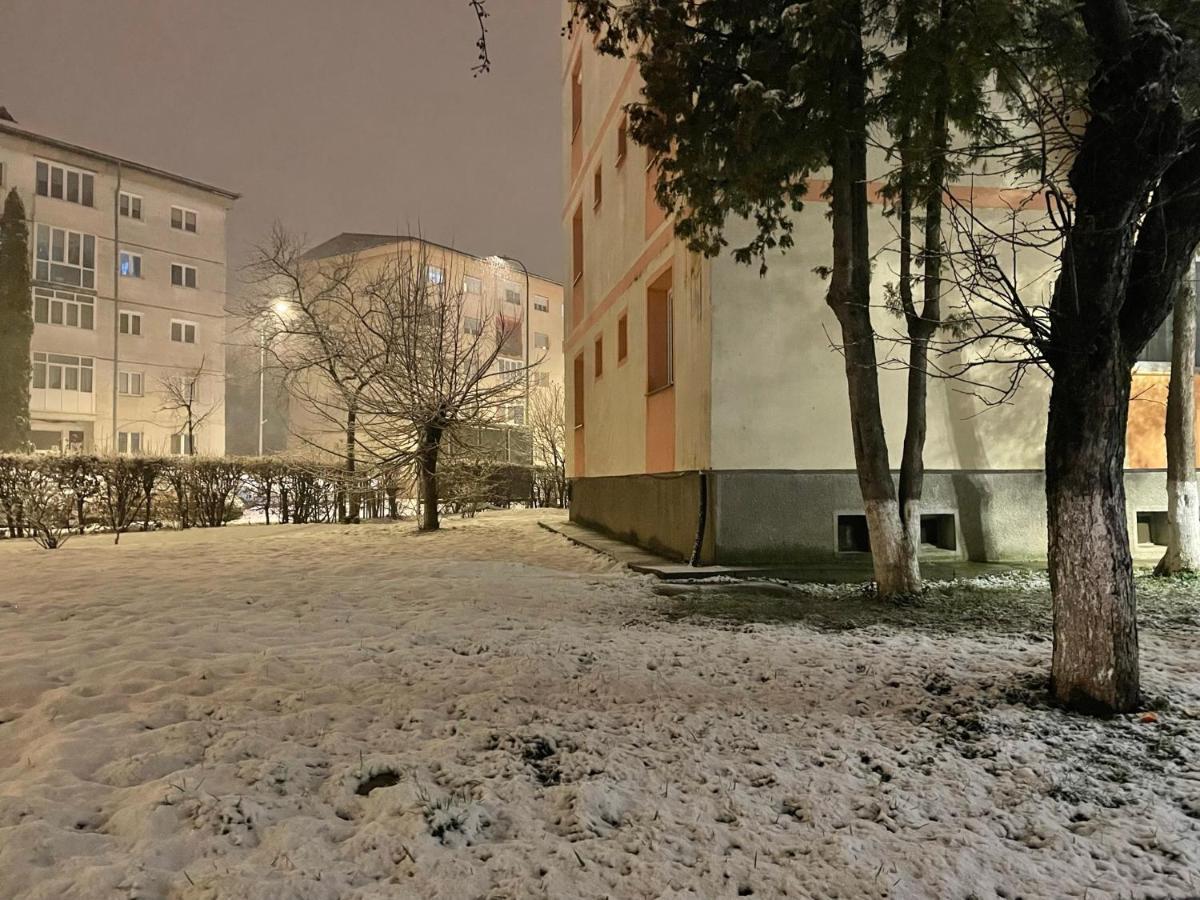 Twin Apartments 锡比乌 外观 照片