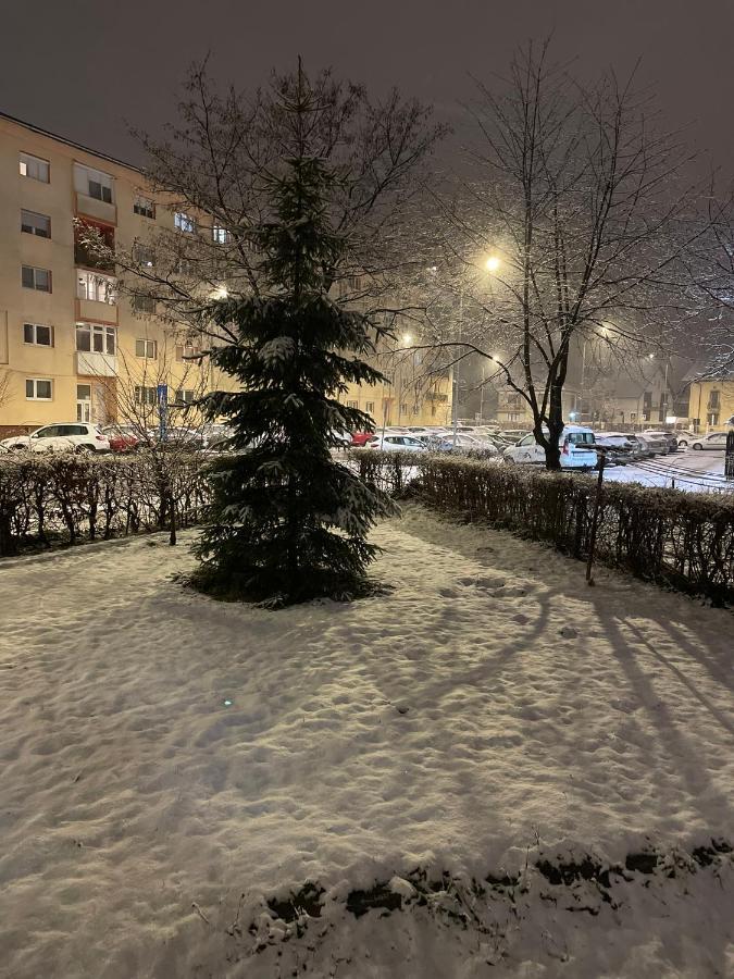 Twin Apartments 锡比乌 外观 照片